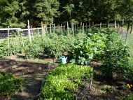 The Garden
